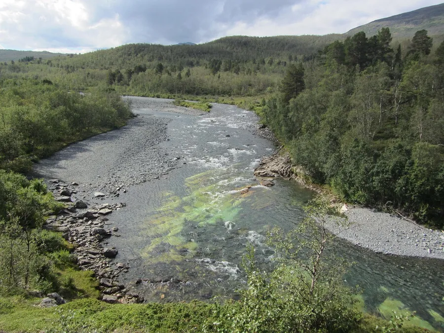 Río serpenteando por un paisaje boscoso verde