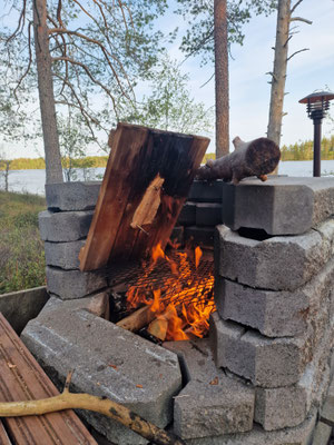 Am Feuer gegarter Lachs in Lappland