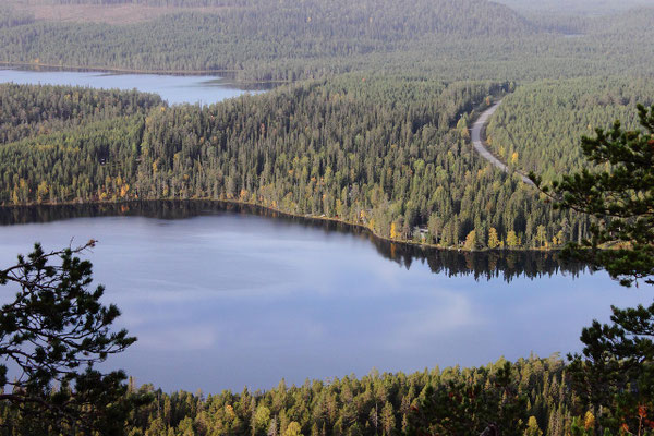 Wälder in Lappland: Fläche, Forstwirtschaft und Wildnis in Nordfinnland