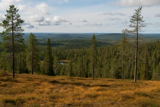 Fjelllandschaft im Palotunturi-Gebiet