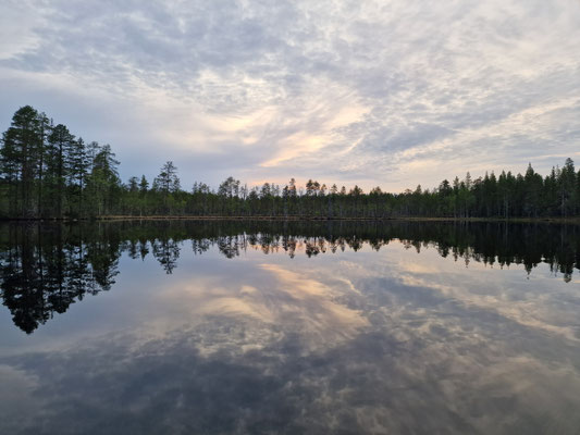 Spiegelung von Wolken und Wald in einem ruhigen See