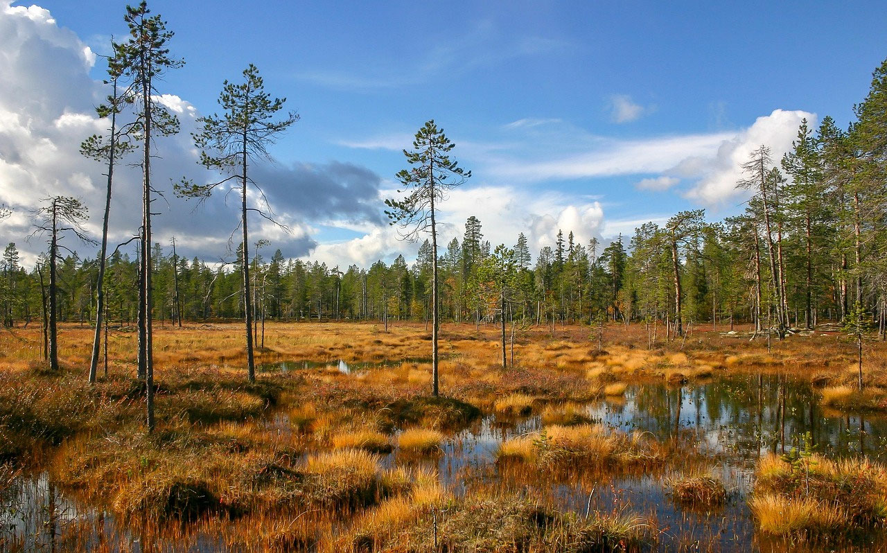 Gefahr im Moor: Unsichtbare Spalten, Torflöcher und historische Fakten über Lapplands tückischsten Lebensraum