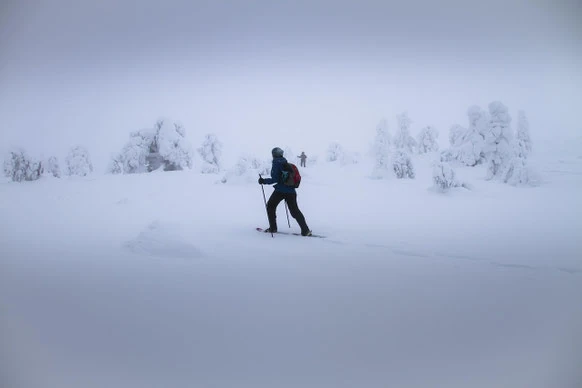 Schneeschuhwandern in Lappland – Ranua • Impiö • Simojärvi