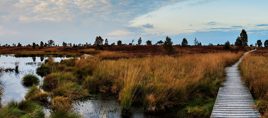 Gefahr im Moor: Unsichtbare Spalten, Torflöcher und historische Fakten über Lapplands tückischsten Lebensraum