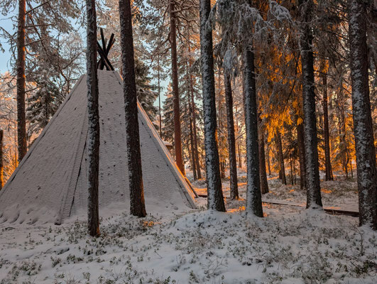 Sonnenlicht zwischen Baumstämmen im verschneiten Wald