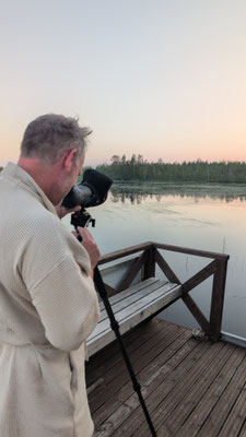 Vögel beobachten in Lappland