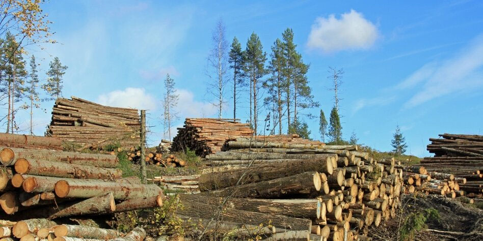 Leben in Ranua Lappland: Tourismus, Energie aus dem See und regionale Wirtschaft