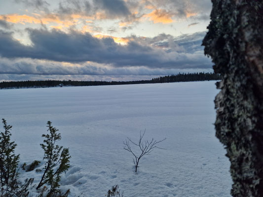 Tageslicht im Winter in Ranua: kurze Tage und lange Dämmerung