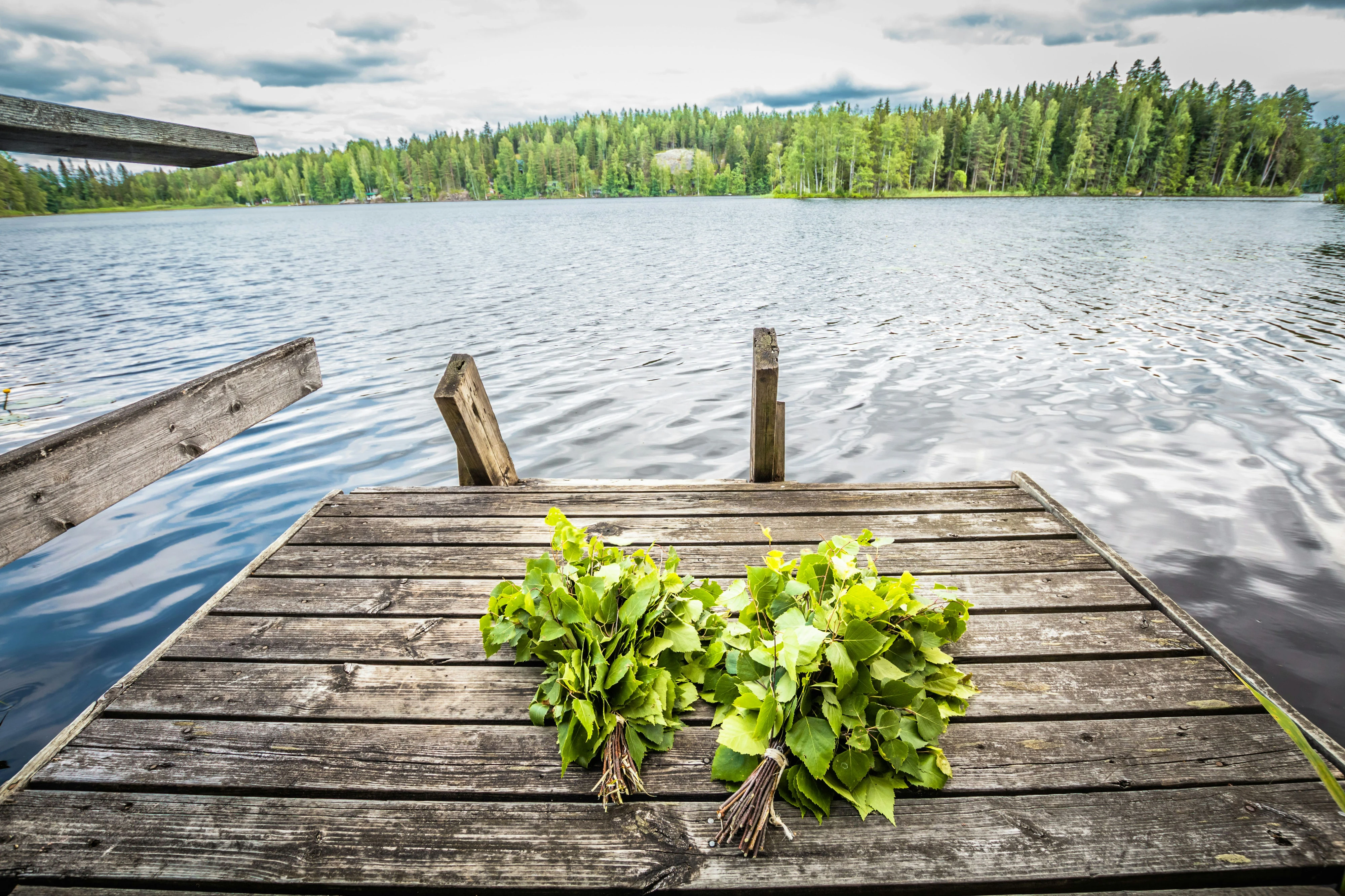 Birkenbesen für die Sauna: Vihta herstellen und verwenden