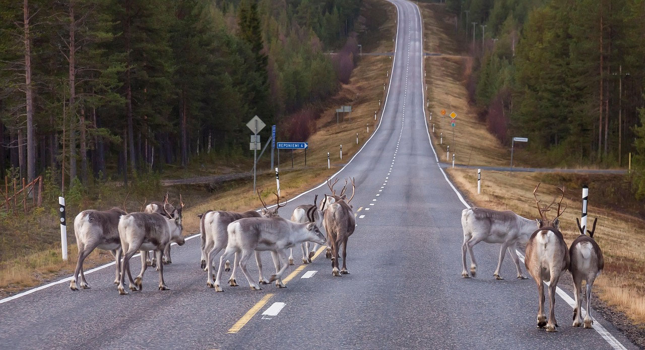 Familienurlaub in Finnland: Natur, Ruhe und gute Vorbereitung