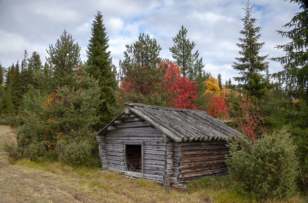 Herbst in Lappland: Ruska, Nordlichter und ruhige Tage