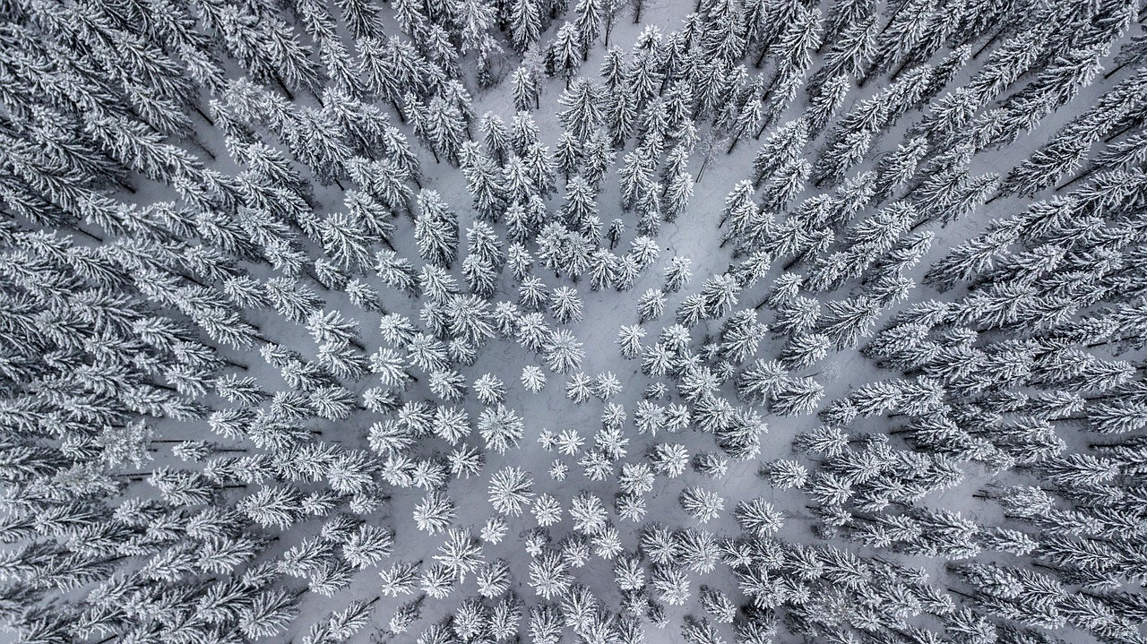 Sisu – die finnische Lebensphilosophie: Bedeutung, Beispiele und Inspiration aus Lappland