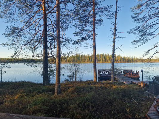 Blick zwischen Bäumen auf den See und den Steg