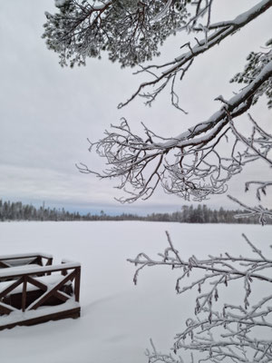 Tageslicht im Winter in Ranua: kurze Tage und lange Dämmerung
