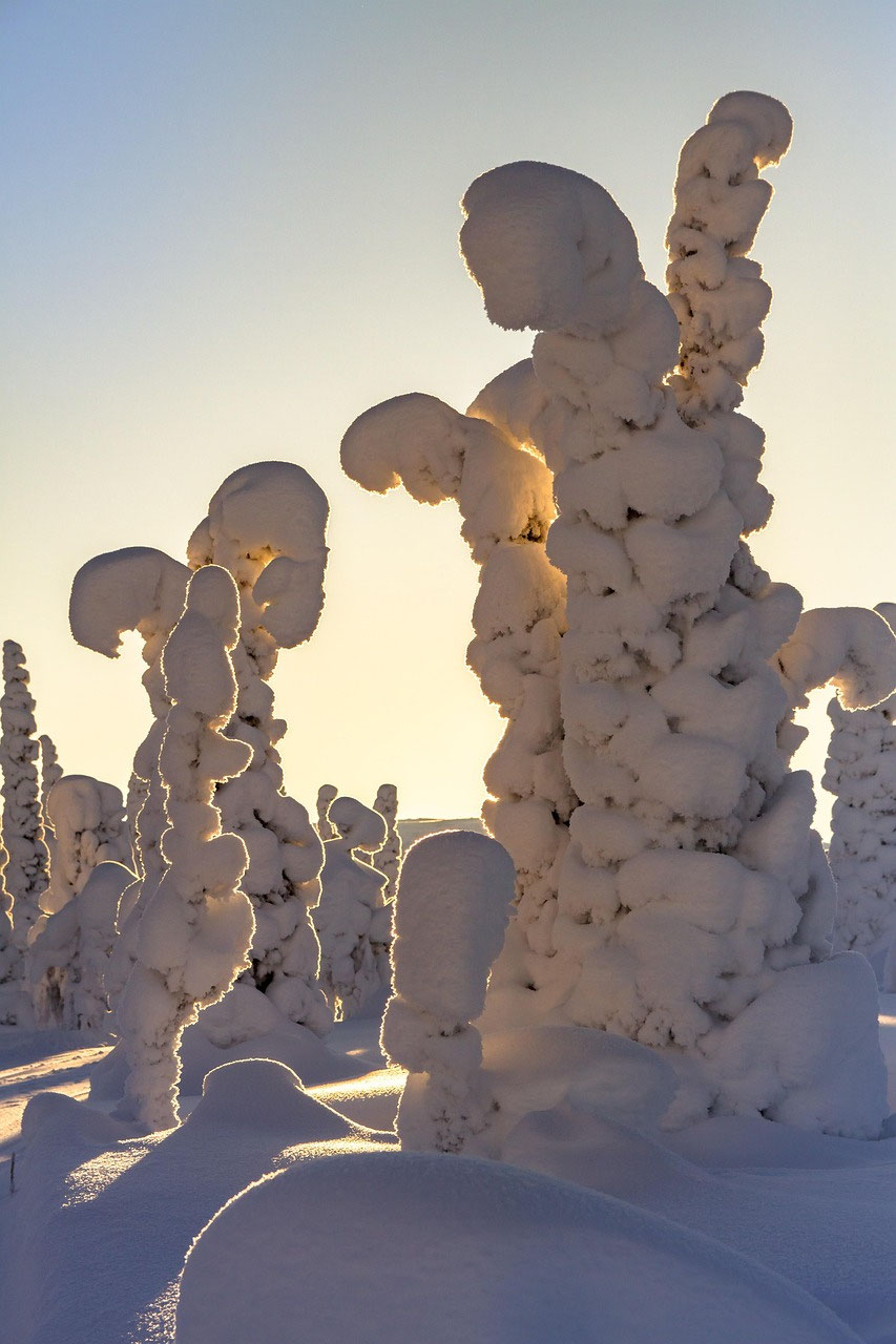 Lapplands Stille erleben: Was Schnee, Frost und Natur in Finnland so besonders macht
