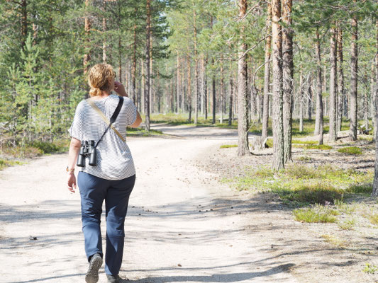 Person auf einem Waldweg zwischen Kiefern