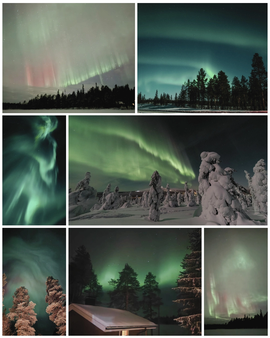 Nordlichter in Finnland: beste Reisezeit und Uhrzeit