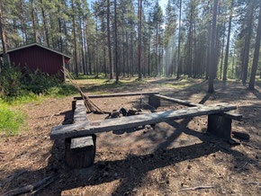 Holzbänke um eine Feuerstelle im Wald