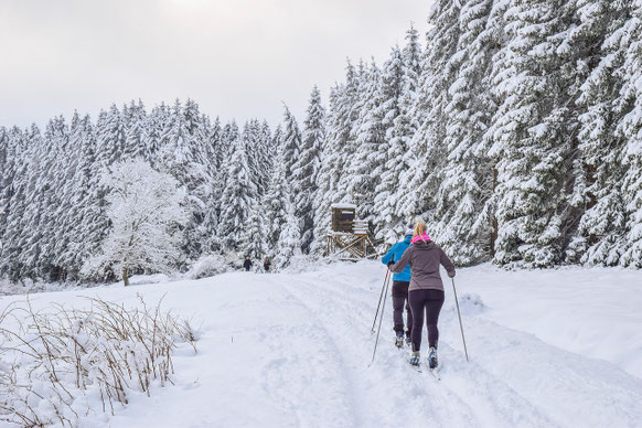 Langlauf & Ski in Lappland – Ranua • Impiö • Simojärvi • Iso-Syöte • Ruka • Levi