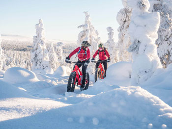 Fatbikefahrt durch den Schnee bei Rovaniemi