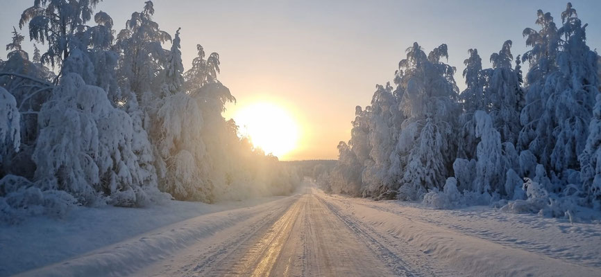 Tief stehende Sonne über einer Strasse zwischen verschneiten Bäumen