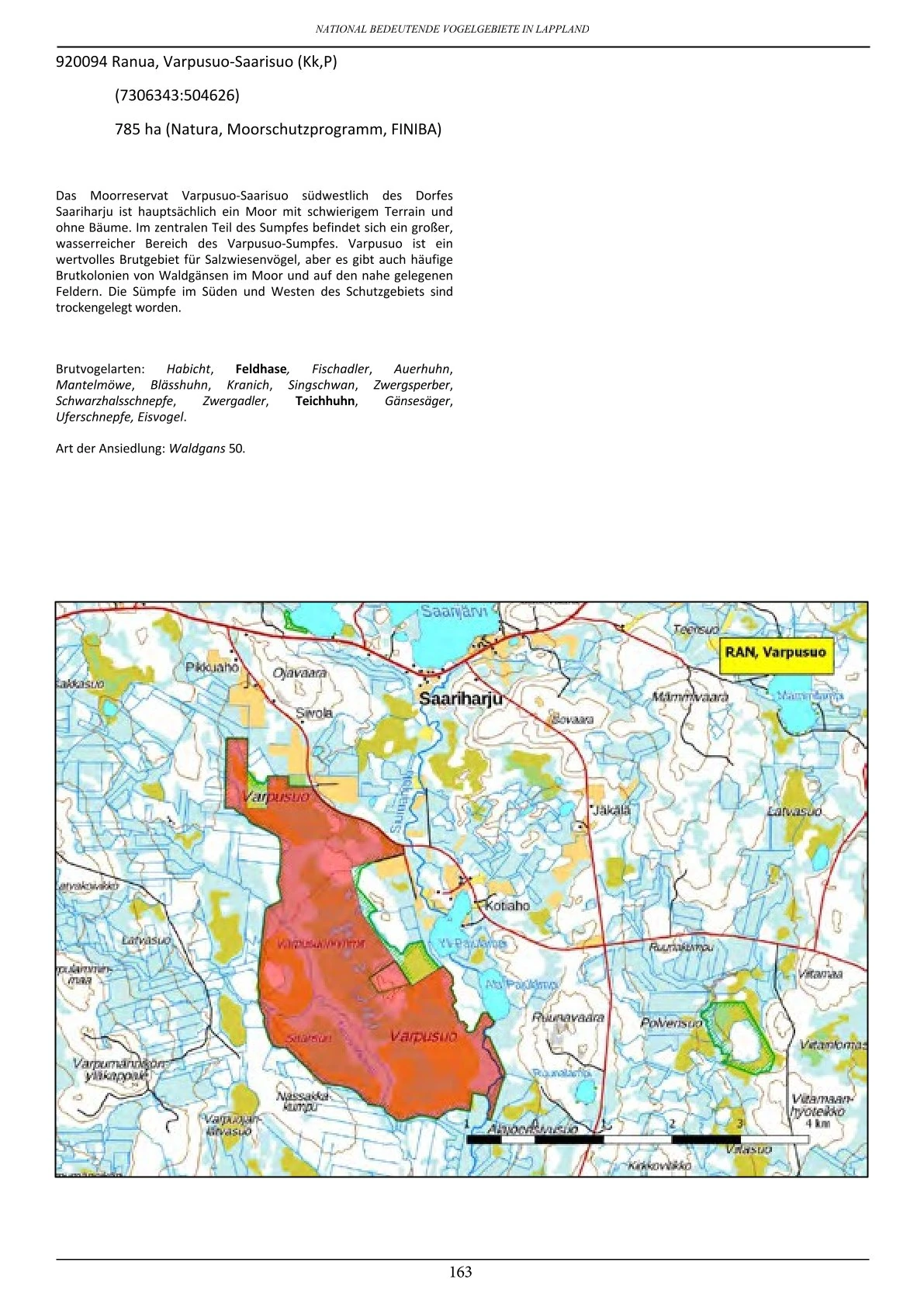 Vogelbeobachtung in Lappland – seltene Arten rund um Ranua, Rovaniemi, Oulu, Simojärvi & Syöte