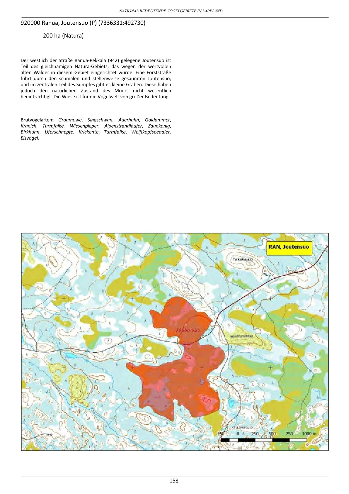Vogelbeobachtung in Lappland – seltene Arten rund um Ranua, Rovaniemi, Oulu, Simojärvi & Syöte
