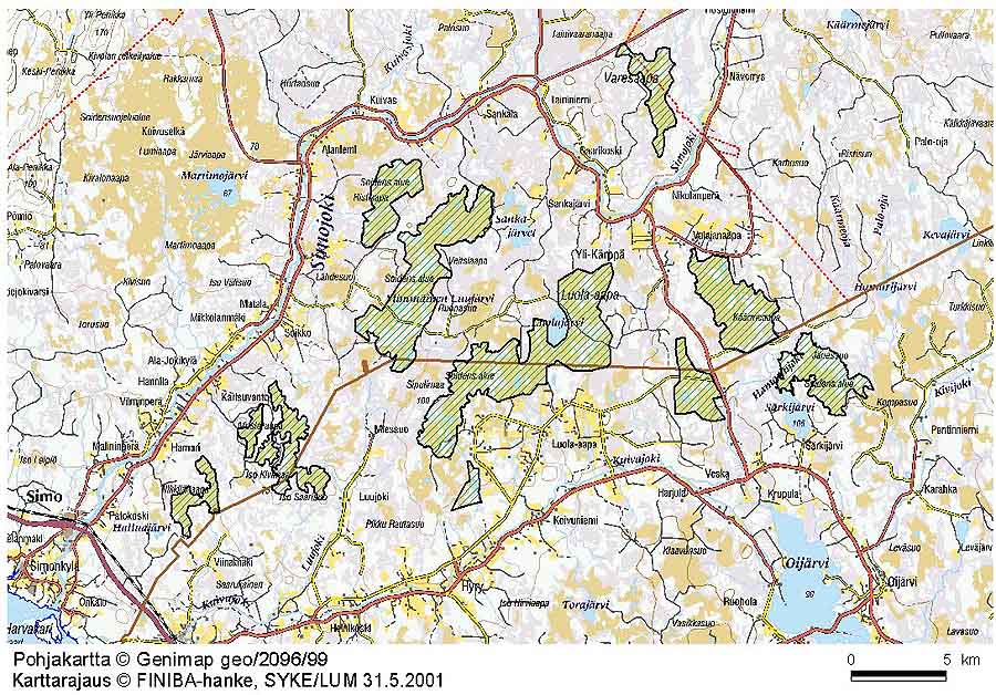 Vogelbeobachtung in Lappland – seltene Arten rund um Ranua, Rovaniemi, Oulu, Simojärvi & Syöte