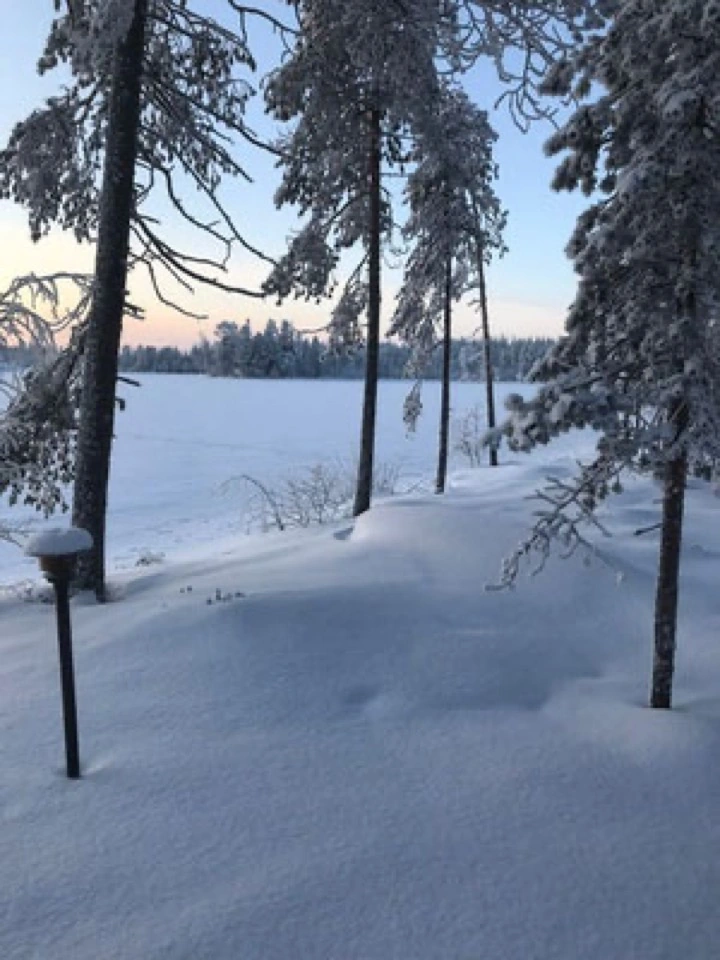 Verschneite Bäume am Ufer des zugefrorenen Sees
