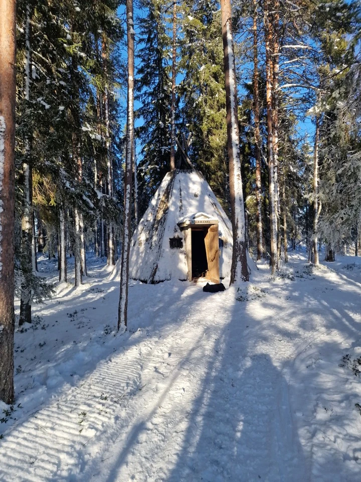 Verschneiter Waldweg mit kleinem Holzunterstand