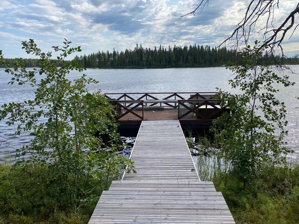 Holzsteg führt durch das grüne Ufer zum See